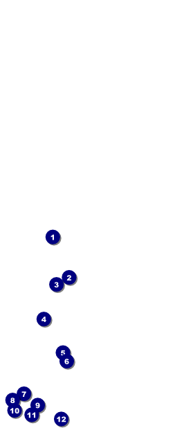 Diamonds Black Table Tent Front Field Markers