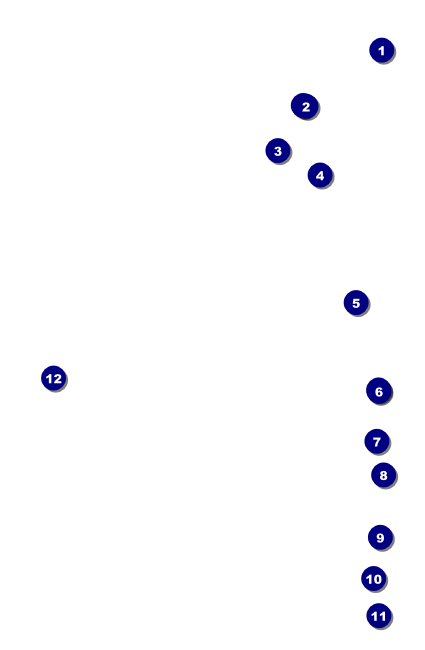 Carnival VIP Event Badge Small Front Field Markers