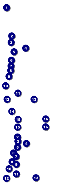 Leukemia Reserved Event Ticket Front Field Markers