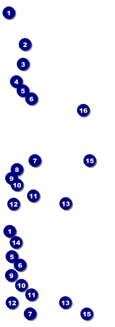 Prom Limo Reserved Event Ticket Front Field Markers