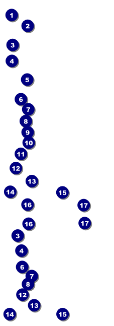 Red Rose Reserved Event Ticket Front Field Markers