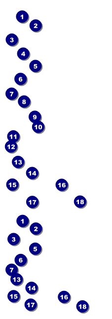 Blue Flowers Reserved Event Ticket Front Field Markers