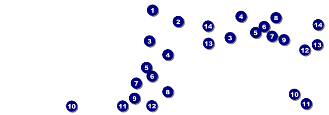 Silver Glitter Reserved Event Ticket Front Field Markers