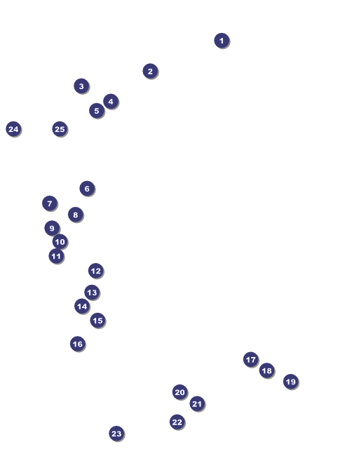 LGBT Pride Flyer Front Field Markers