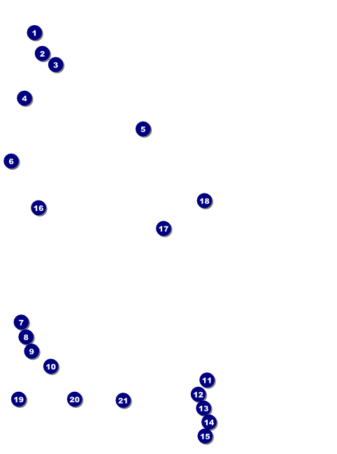 Roller Derby Pink Leopard Flyer Front Field Markers