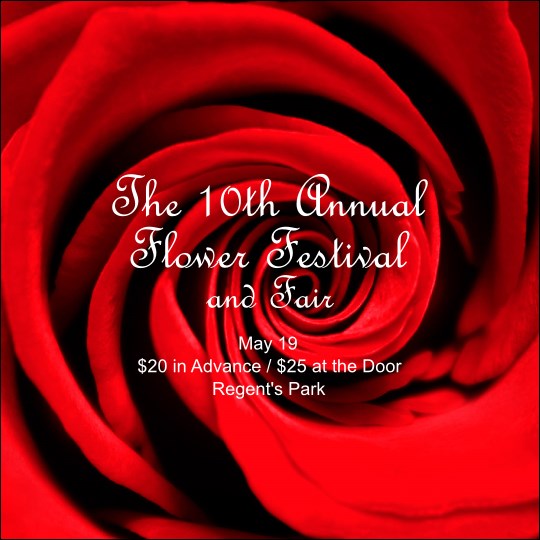 Red Rose Instagram Post