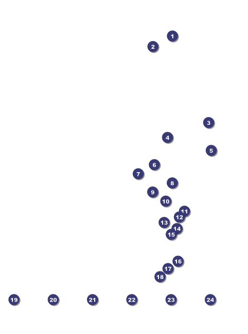 Sydney Flyer (Pink) Front Field Markers