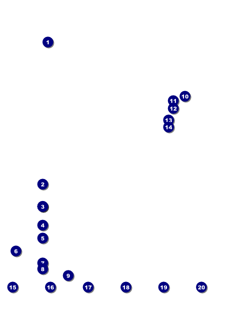 Philadelphia Rose Logo Flyer Front Field Markers