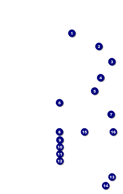 Holiday Lights VIP Event Badge Medium VIP Event Badge Medium Front Field Markers
