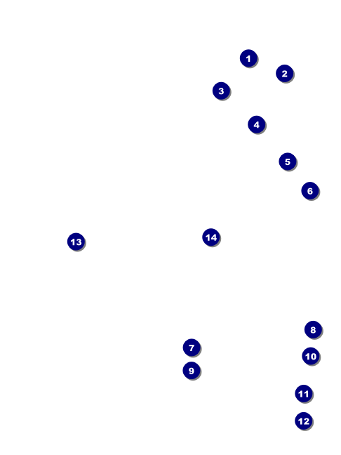 MMA Main Event 2 Economy Event Badge Economy Event Badge Front Field Markers