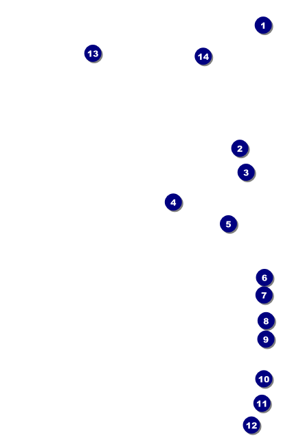 Leukemia VIP Event Badge Small Front Field Markers