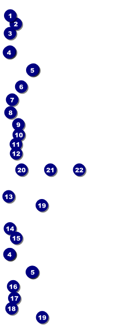 Chinese New Year Celebration Event Ticket Front Field Markers