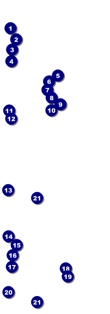 Animal Rescue Event Ticket Front Field Markers