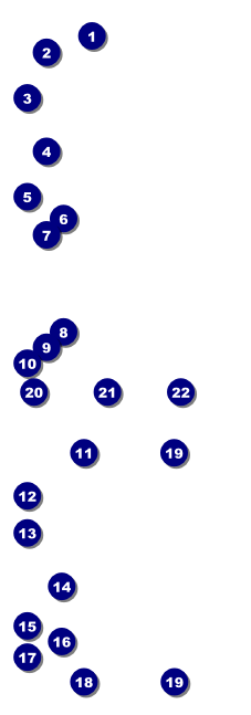 African Theme Event Ticket Front Field Markers