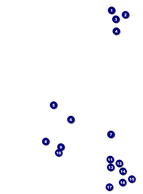 Chinese New Year Invitation Front Field Markers
