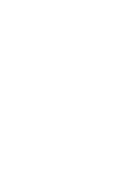 Carnival Invitation Product Back
