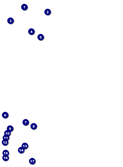 Ski Race Invitation Front Field Markers