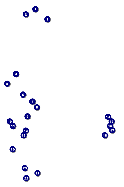 Lions Club International Stripes Poster Front Field Markers