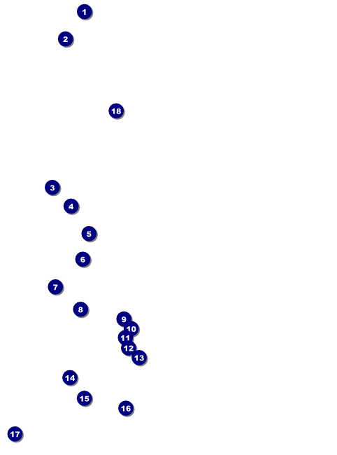 Sports Flyer 001 in Blue and Gold Front Field Markers