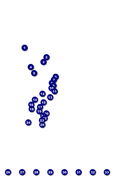 Fashion Show Poster Front Field Markers