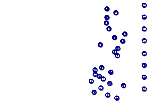 San Antonio Poster (black and white) Front Field Markers