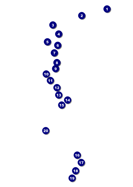 Martin Luther King Postcard Front Field Markers
