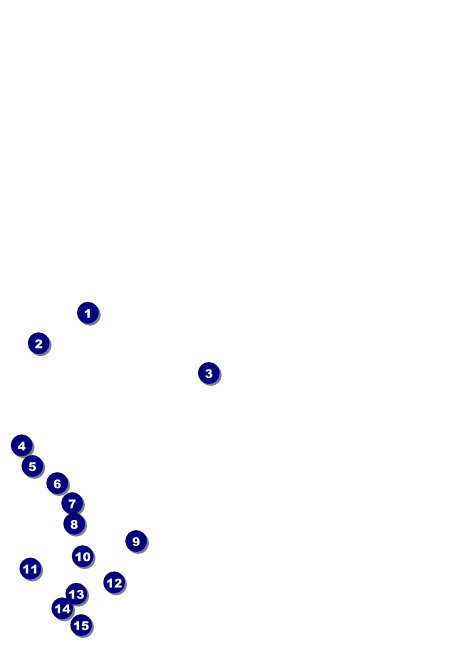 Bamboo Postcard Front Field Markers