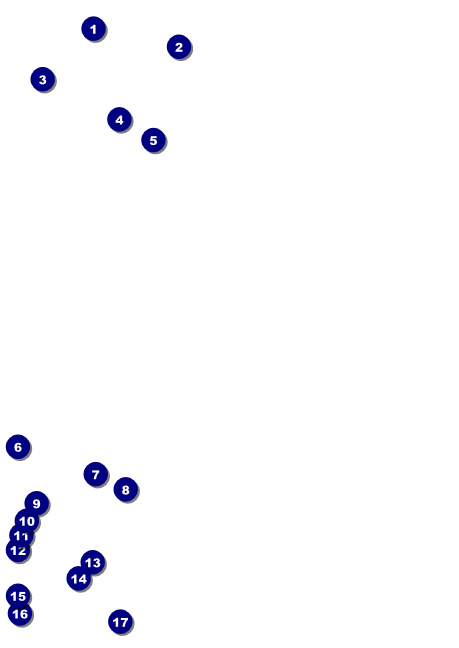 Ski Race Postcard Front Field Markers