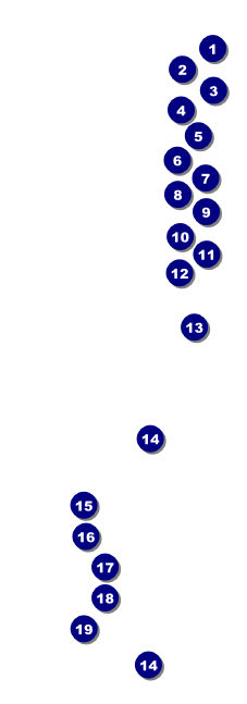 Nebraska Raffle Ticket Front Field Markers