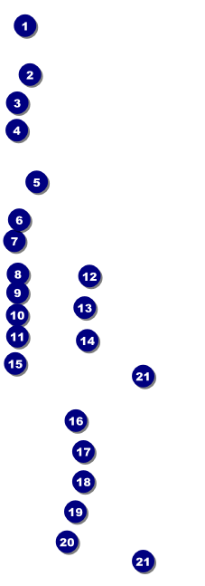 St. Patrick's Day Plaid Raffle Ticket Front Field Markers