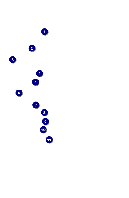 Year Gala Plaid Green Drink Ticket Front Field Markers