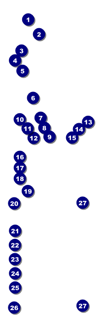 Football Lights Raffle Ticket Front Field Markers