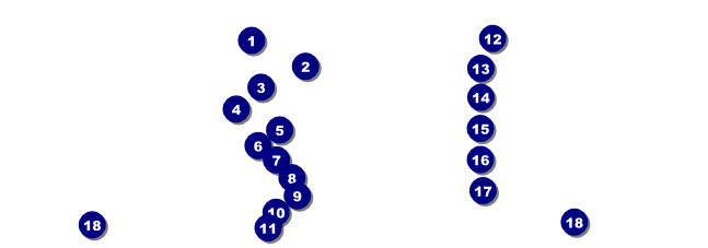 Memphis Raffle Ticket Front Field Markers