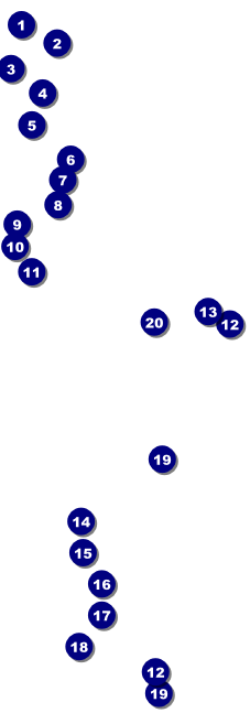 Your Image Raffle Ticket 001 (Orange) Front Field Markers