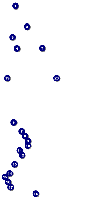 Paris Pink and Black VIP Pass Front Field Markers