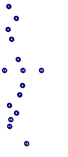 Guitar and Banjo VIP Pass Front Field Markers