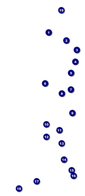 Fourth of July VIP Pass Front Field Markers