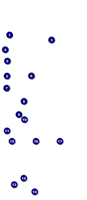 Birthday Whimsical  VIP Pass Front Field Markers