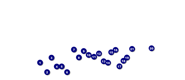 St. Louis VIP Pass (Black & white) Front Field Markers