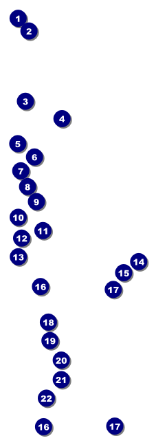 Romeo and Juliet Raffle Ticket Front Field Markers