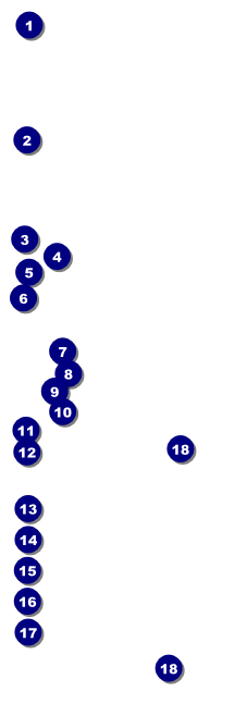 Spiritual Music Raffle Ticket Front Field Markers
