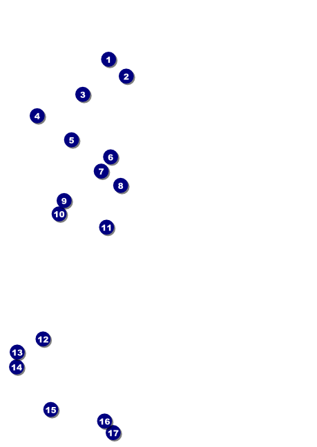 Kansas City Club Flyer Front Field Markers