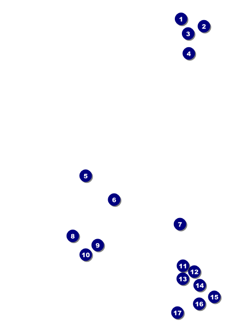 Chinese New Year Club Flyer Front Field Markers