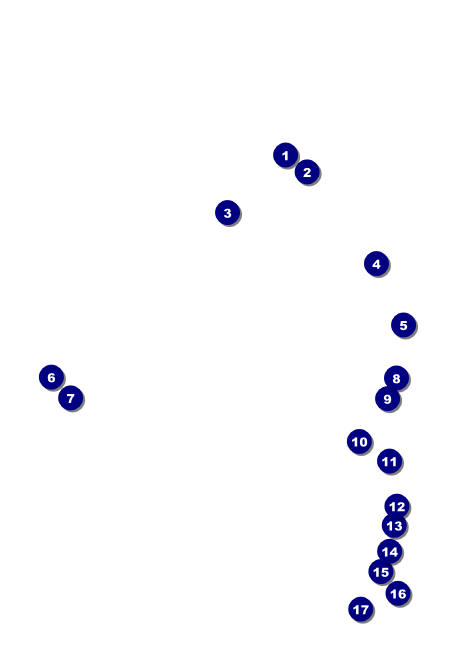 Bow Tie Club Flyer Front Field Markers