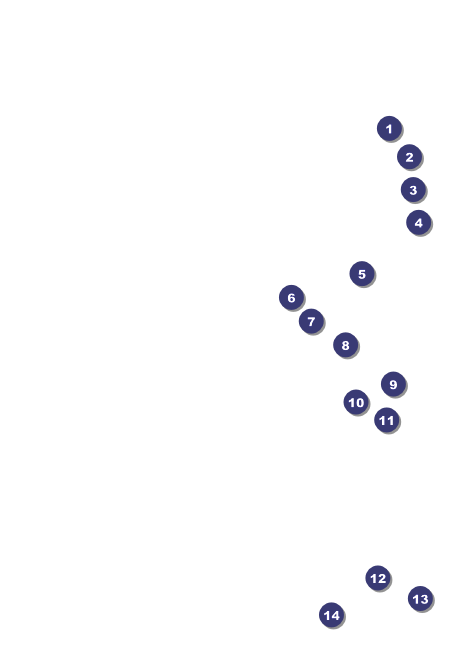 Kansas Club Flyer Front Field Markers